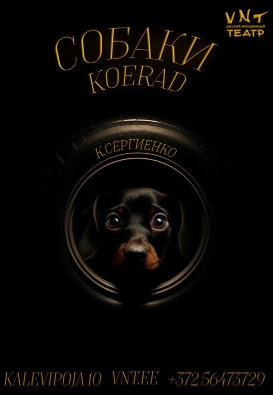 Koerad / Собаки / Sobaki - Vene Noorsooteater